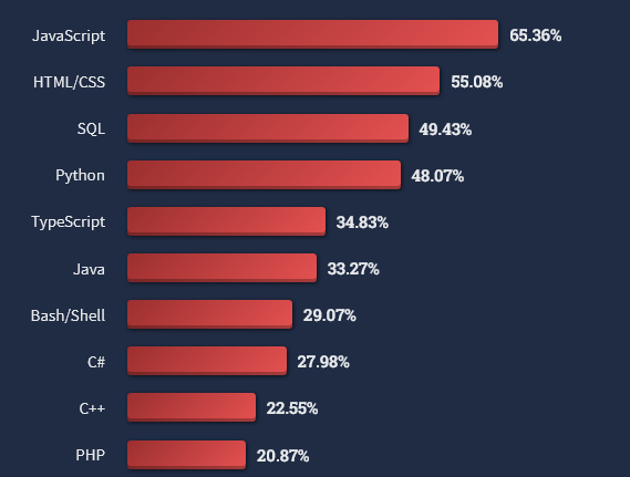 Yazılım Dilleri: Hangi Dili Seçmelisiniz?